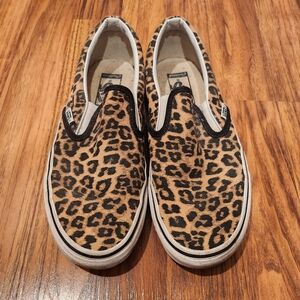 Custom cheetah vans